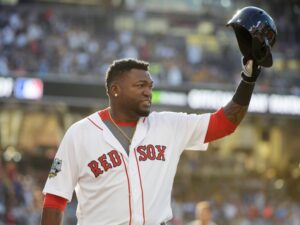 Official Big papI david ortiz Boston red baseball 20132016 hall of